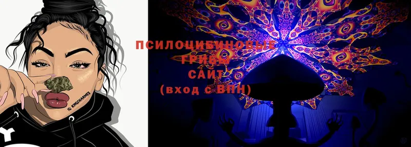 Псилоцибиновые грибы Cubensis  blacksprut как войти  Чкаловск 